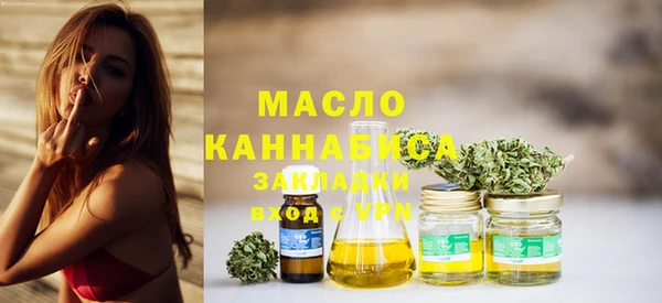 mix Инта