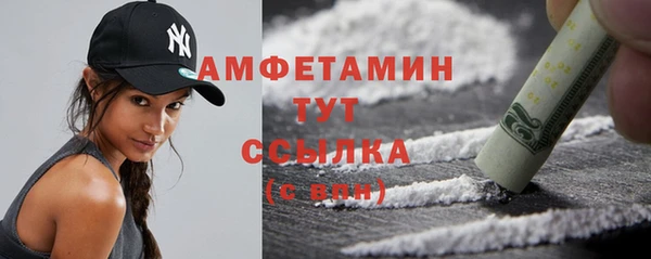 mix Инта