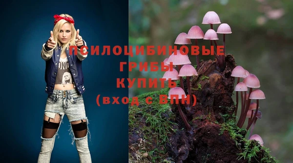 мяу мяу мука Зеленодольск
