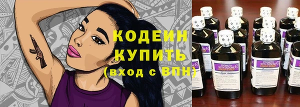 ешки Иннополис