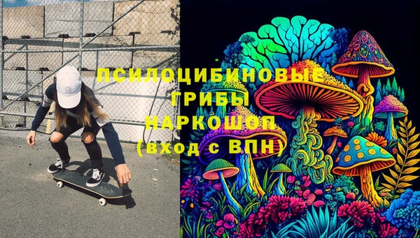 гидра Карталы