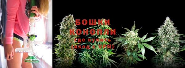 ешки Иннополис